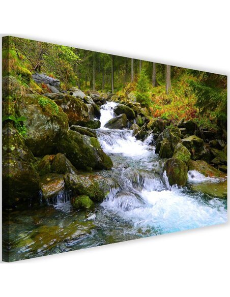 Tableau Mountain Stream 3
