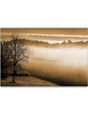 Tableau brouillard sur le lac 1, vue frontale d'un paysage brumeux aux teintes sépia