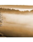 Tableau brouillard sur le lac 1, gros plan sur les arbres et la brume du paysage