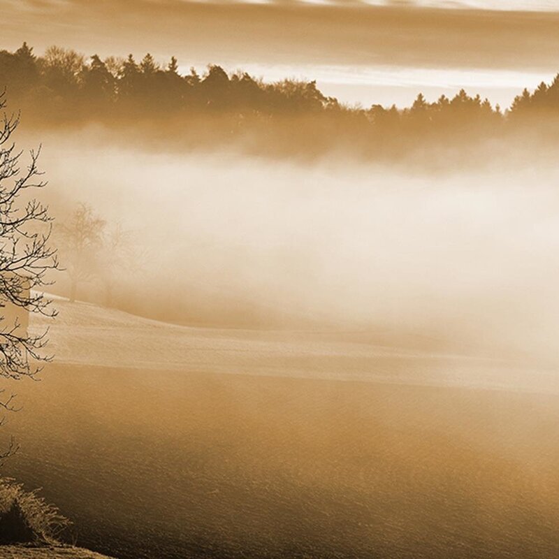Tableau brouillard sur le lac 1, gros plan sur les arbres et la brume du paysage