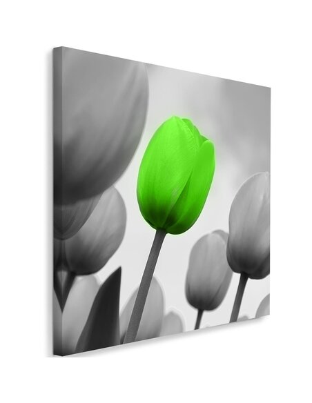 Tableau Green Poppy Flower