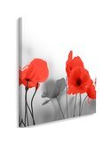 Tableau Red Poppies In Gray