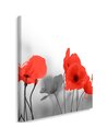 Tableau Red Poppies In Gray