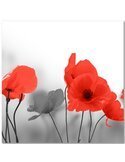 Tableau Red Poppies In Gray