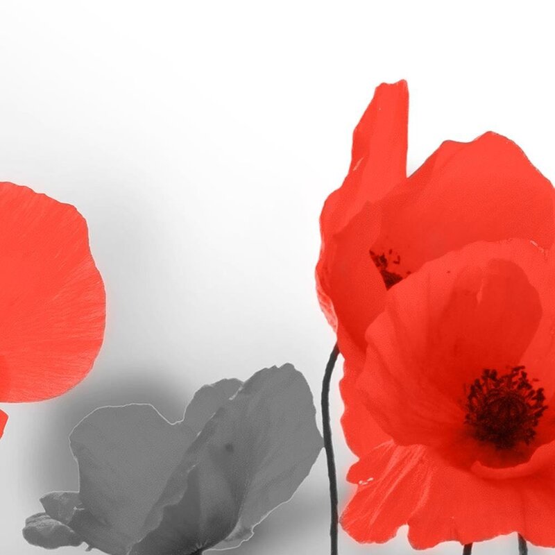 Tableau Red Poppies In Gray