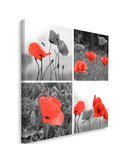 Tableau A Set Of Red Poppies