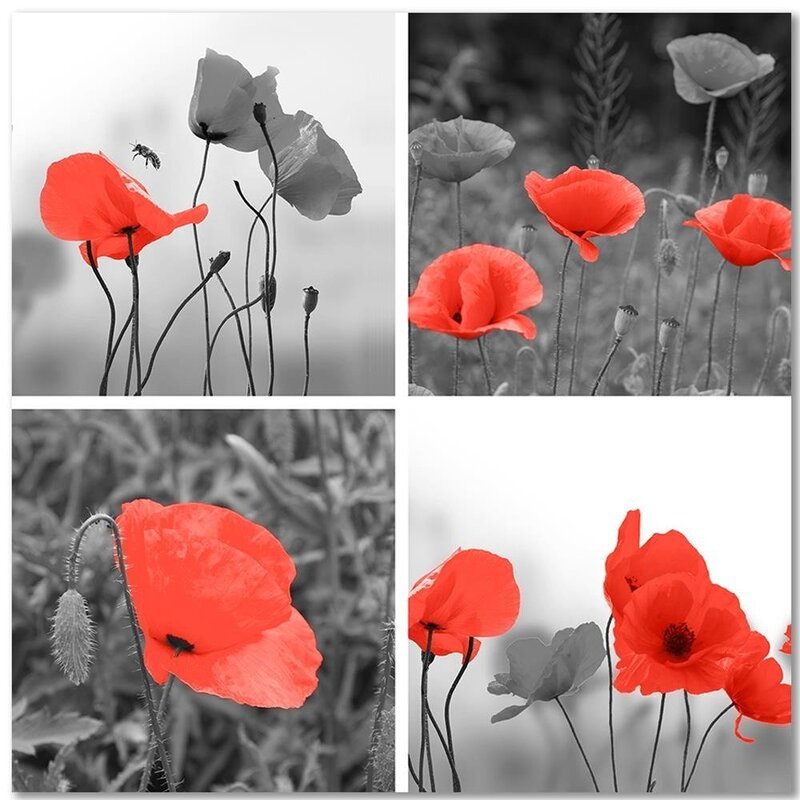 Tableau A Set Of Red Poppies
