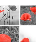 Tableau A Set Of Red Poppies