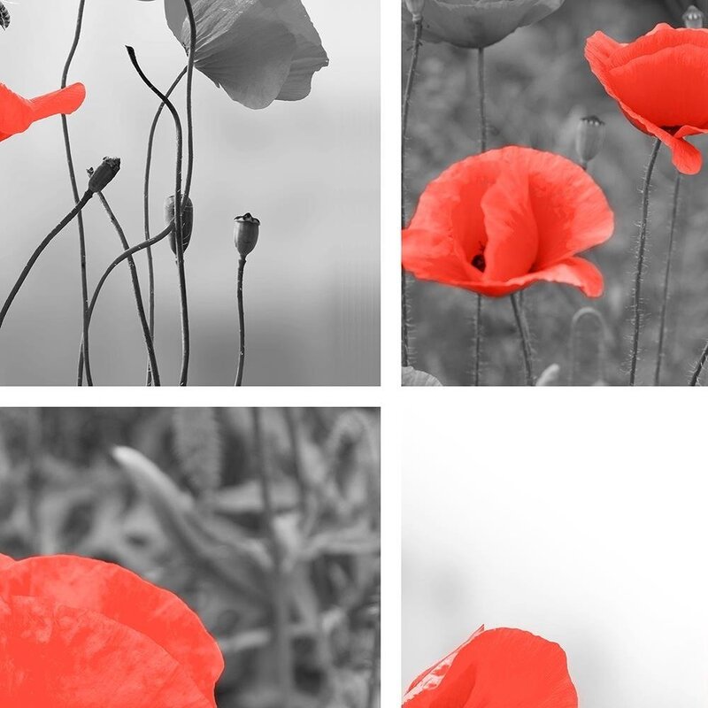Tableau A Set Of Red Poppies