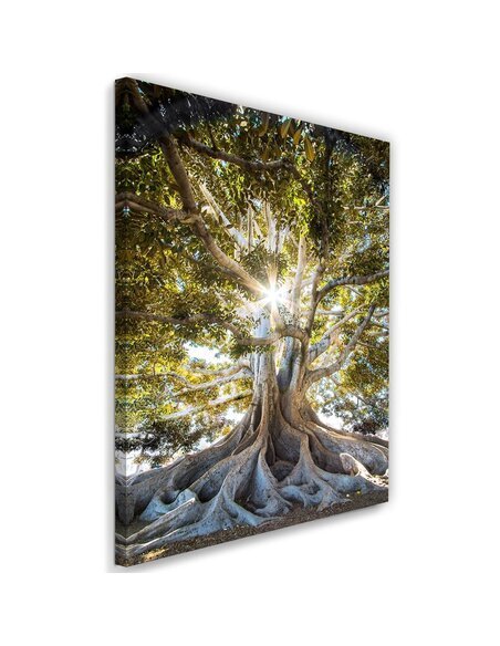 Tableau Large Exotic Tree