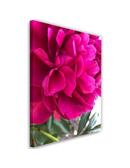 Tableau Pink Peony