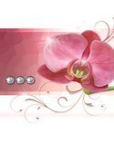 Tableau Orchids Abstraction