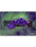 Tableau Orchid Purple