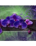 Tableau Orchid Purple