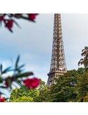 Tableau Eiffel Tower And Flower