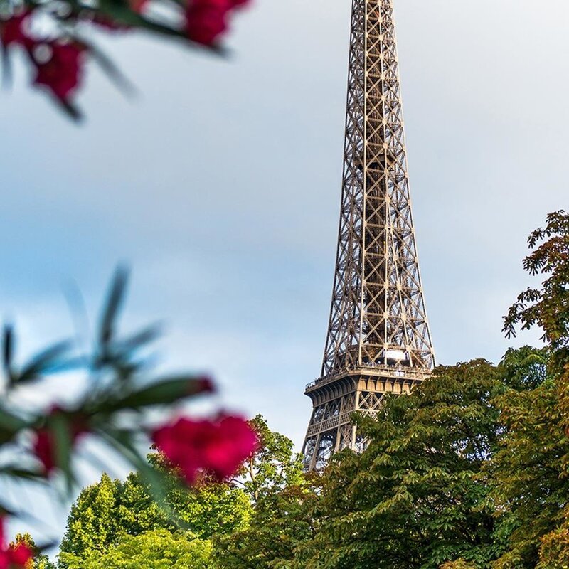 Tableau Eiffel Tower And Flower