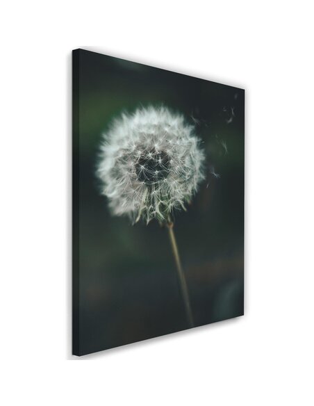 Tableau Dandelion