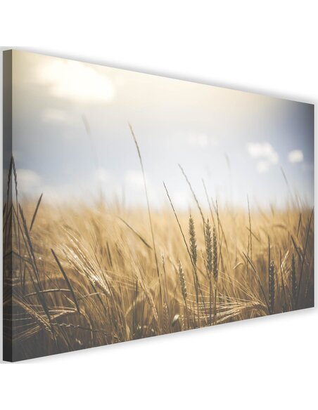 Tableau Corn In The Sun 3