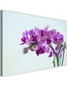 Tableau Purple Orchid