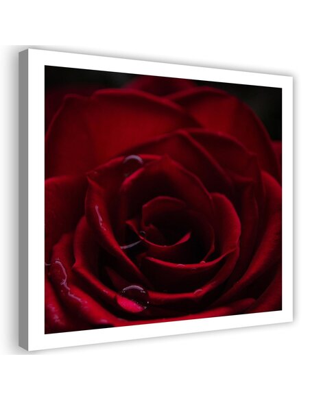Tableau Red Rose