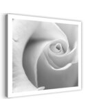 Tableau White Rose 3