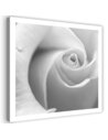 Tableau White Rose 3
