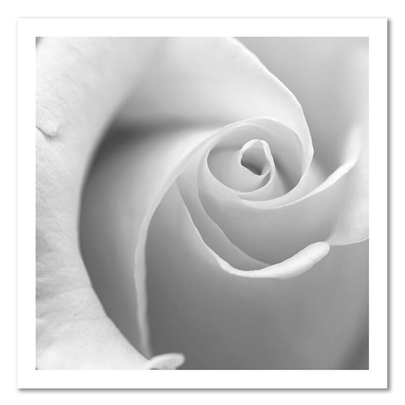 Tableau White Rose 3