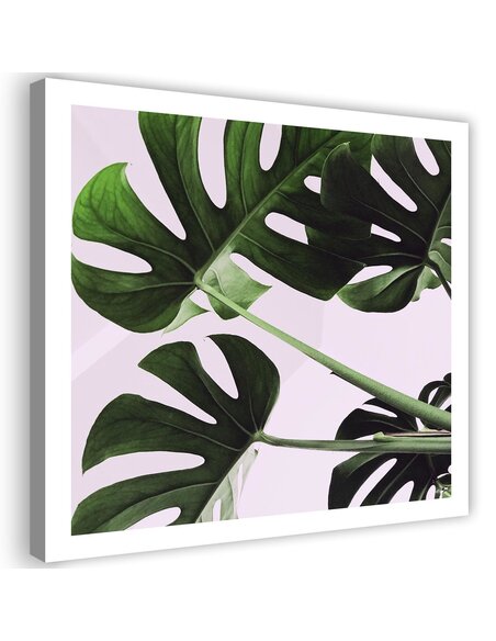 Tableau Exotic Leaves Monstera 1