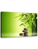 Tableau Green Bamboo And Zen Stones