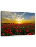Tableau Red Poppy Flowers