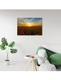 Tableau Red Poppy Flowers
