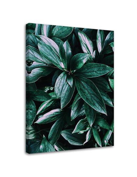 Tableau Tropical Plant Leaves