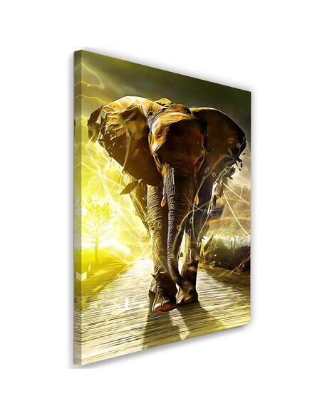 Tableau Elephant Road Abstraction