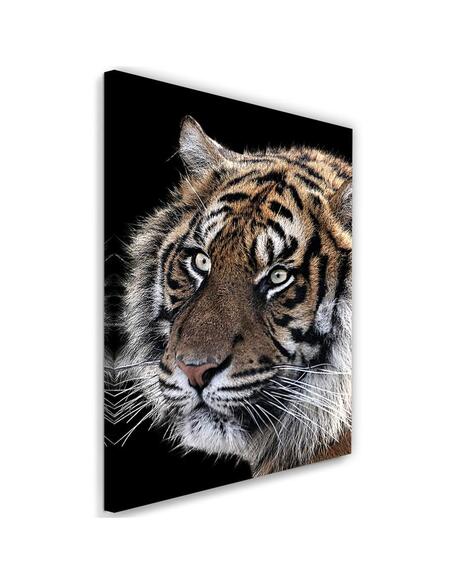 Tableau Portrait Of A Tiger