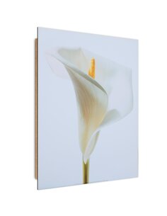 Tableau bois flower on a white background