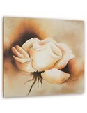 Tableau bois Beige Rose