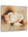 Tableau bois Beige Rose