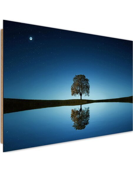 Tableau bois Lonely tree 4