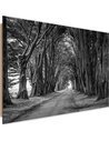 Tableau bois Avenue of trees