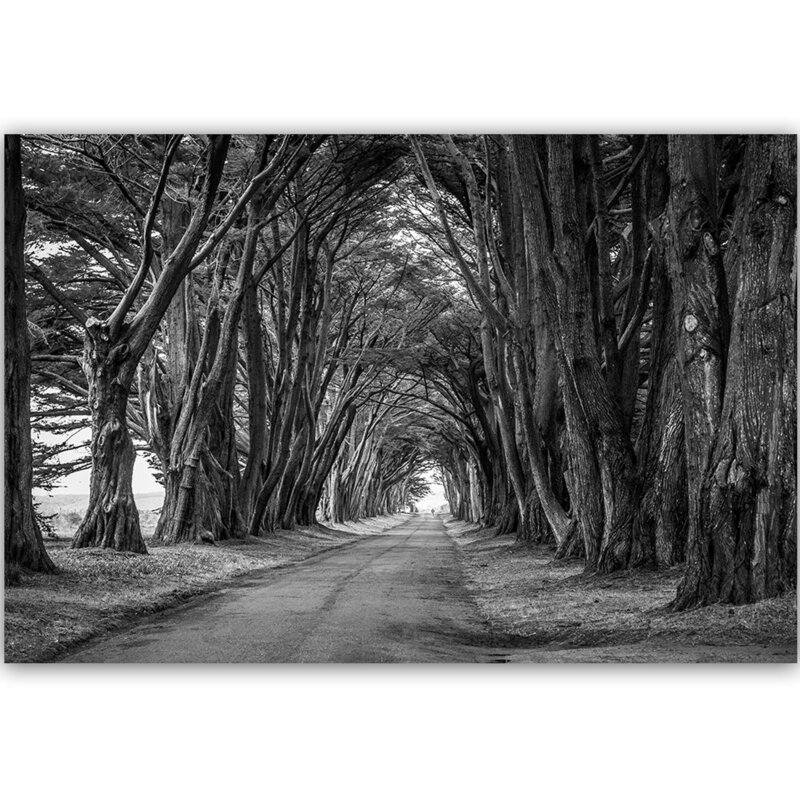 Tableau bois Avenue of trees