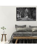 Tableau bois Avenue of trees