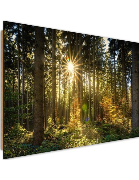 Tableau bois sun in the forest