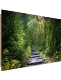 Tableau bois Path in green forest