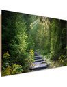 Tableau bois Path in green forest