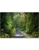 Tableau bois Path in green forest