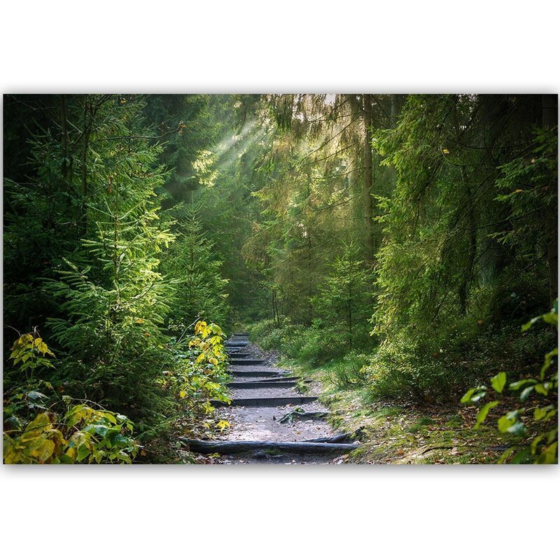 Tableau bois Path in green forest