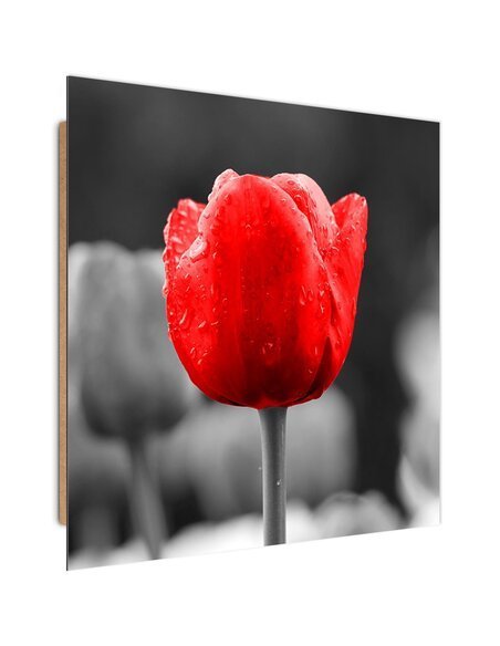 Tableau bois Tulip in red