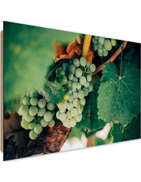 Tableau bois Green grapes