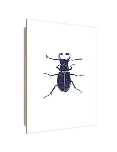 Tableau bois black beetle