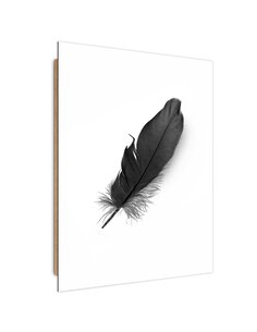 Tableau bois Black feather